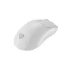GENESIS Zircon 500 mouse gaming per destrorsi RF Wireless + Bluetooth + USB Type-C ottico 10000 DPI