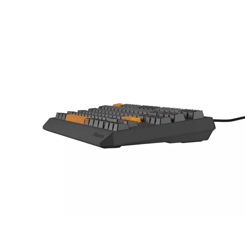 Genesis Thor 230 TKL tastiera gaming meccanica cablata, US, Anchor Gray Negative, Outemu Red