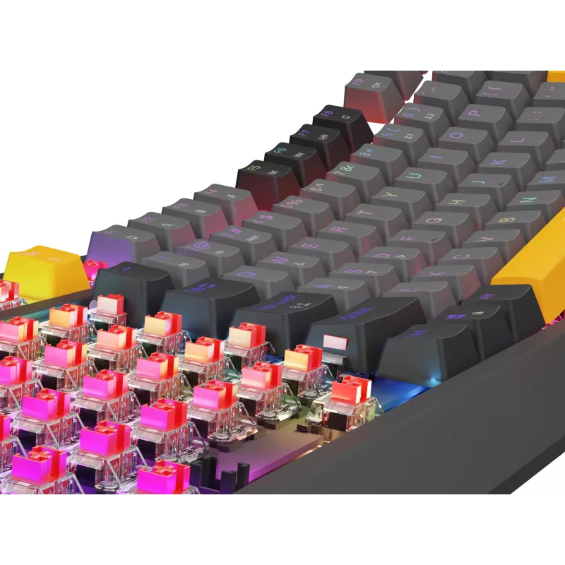 Genesis Thor 230 TKL tastiera gaming meccanica cablata, US, Anchor Gray Negative, Outemu Red