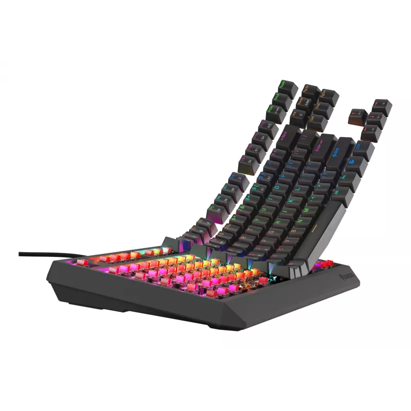 GENESIS Thor 230 TKL Lite tastiera gaming USB QWERTY inglese nero