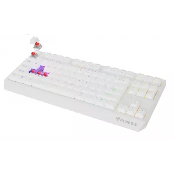 Tastiera gaming tenkeyless GENESIS Thor 230 TKL — USB, RF Wireless, Bluetooth, QWERTY, bianco