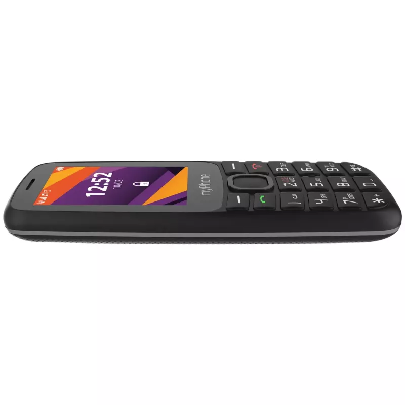 Telefono cellulare MYPHONE 6410 LTE | 2,4 pollici TFT | nero