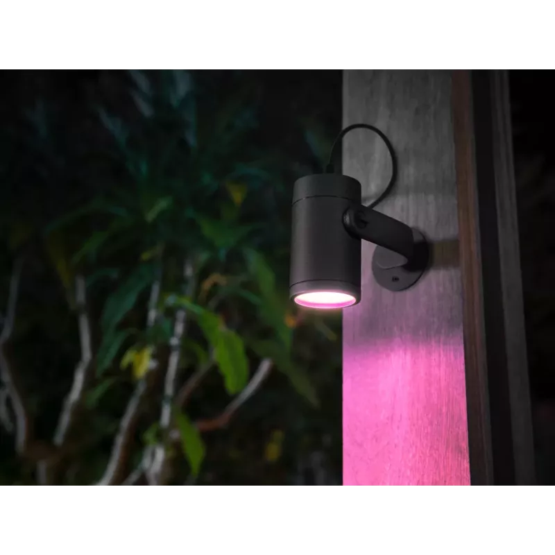 Philips Hue White and Colour Ambience Lily faretto da esterno