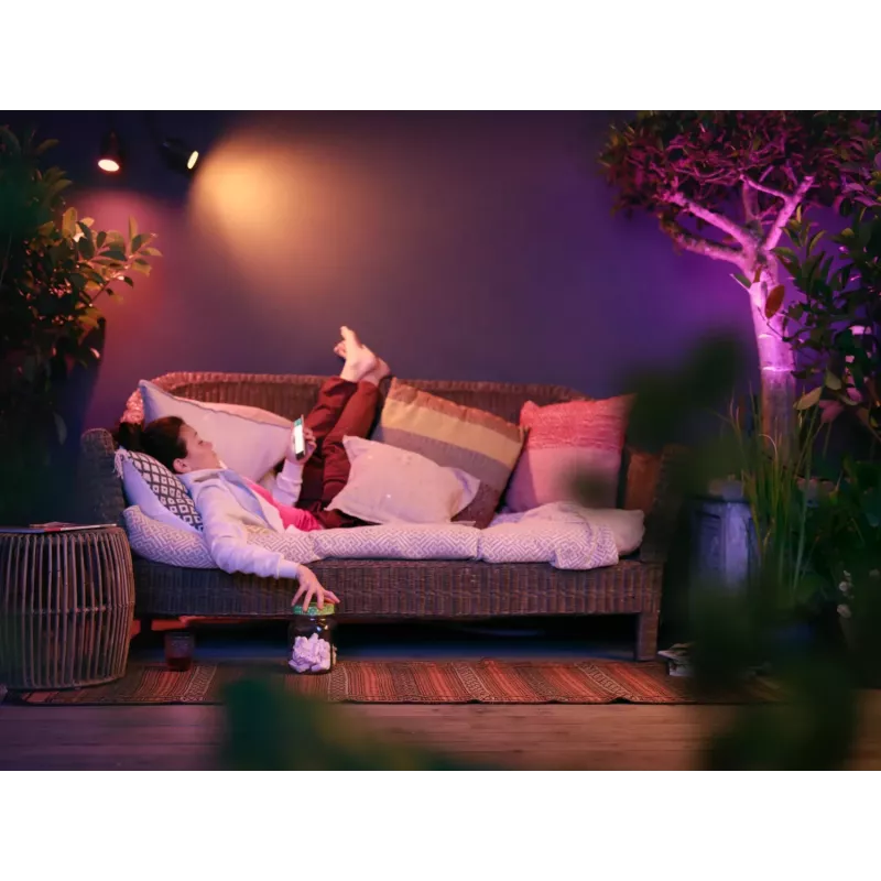 Philips Hue White and Colour Ambience Lily faretto da esterno