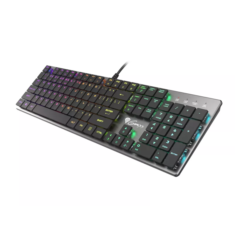 GENESIS Thor 420 RGB Tastiera Gaming USB QWERTY US International Argento