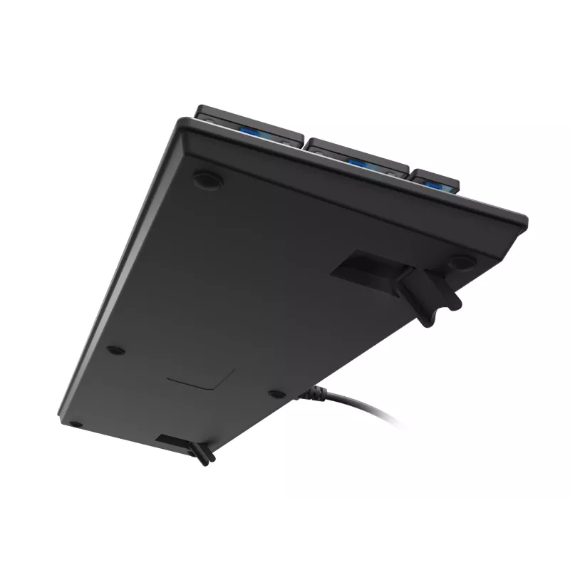 GENESIS Thor 420 RGB Tastiera Gaming USB QWERTY US International Argento