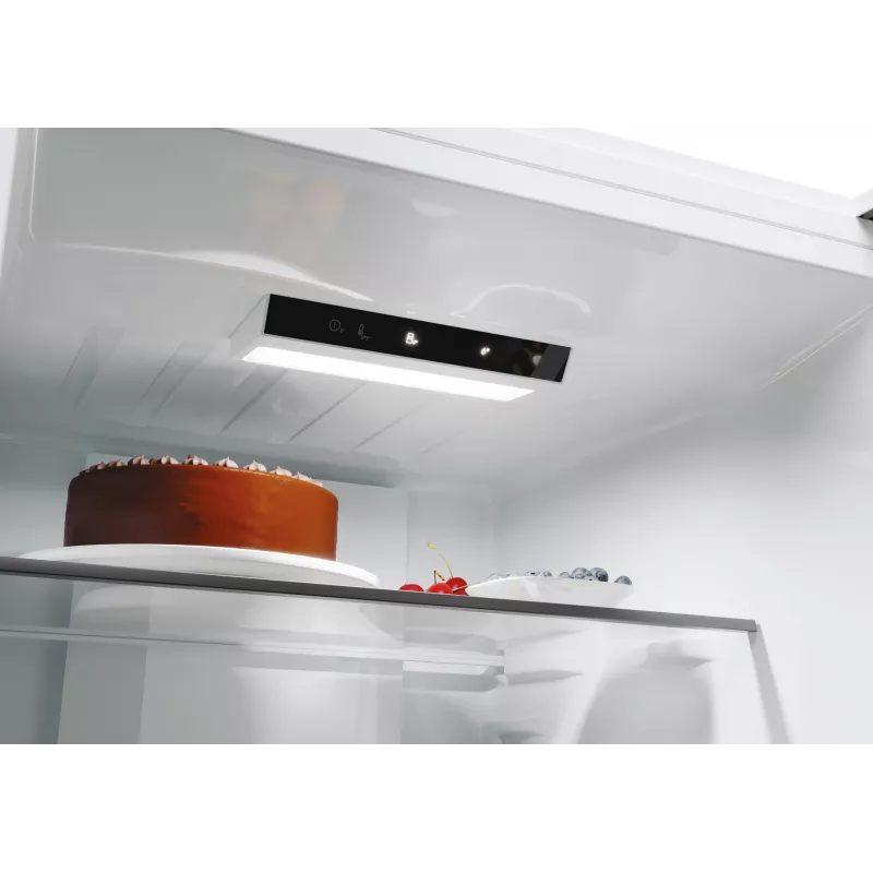 Candy ECN2CQTEX186 Freestanding 355 L Acciaio inox
