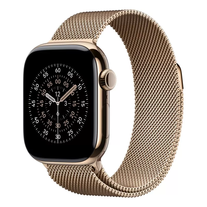 APPLE 42 mm cinturino Milanese oro