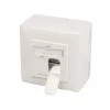 Presa di rete 2 x RJ-45 LogiLink NP0124