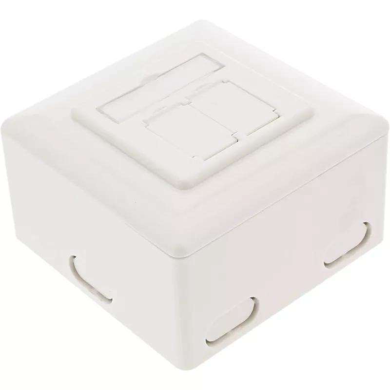 Presa a parete InLine Cat.6 2x RJ45 orizzontale — montaggio a parete o incasso