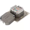 Presa a parete InLine Cat.6 2x RJ45 orizzontale — montaggio a parete o incasso
