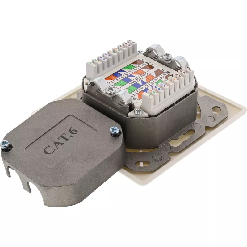 Presa a parete InLine Cat.6 2x RJ45 orizzontale — montaggio a parete o incasso