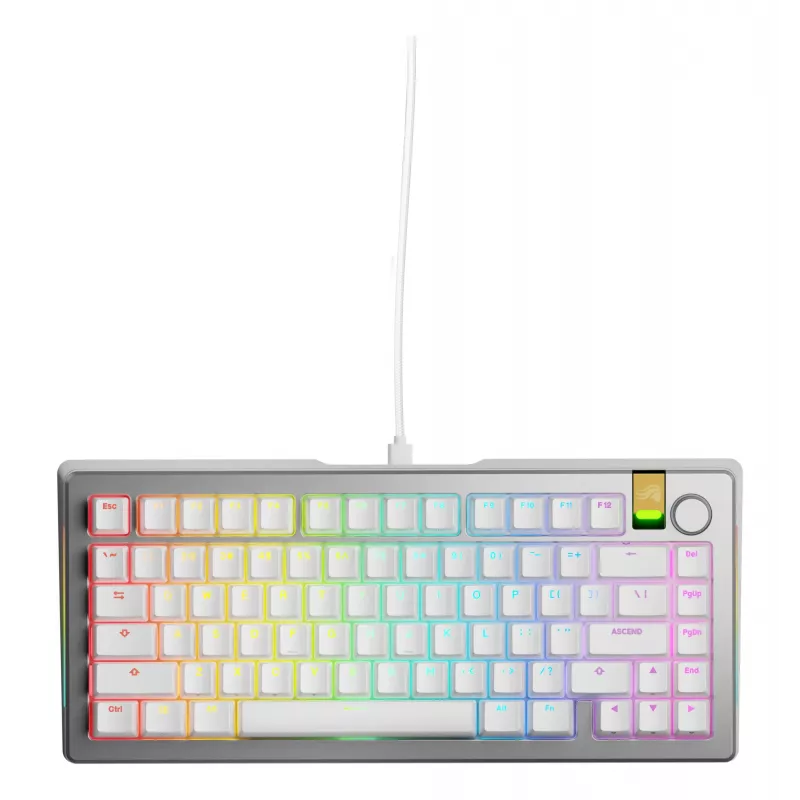 Tastiera meccanica gaming GLORIOUS GMMK 3 PRO HE 75% Prebuilt cablata USB QWERTY argento