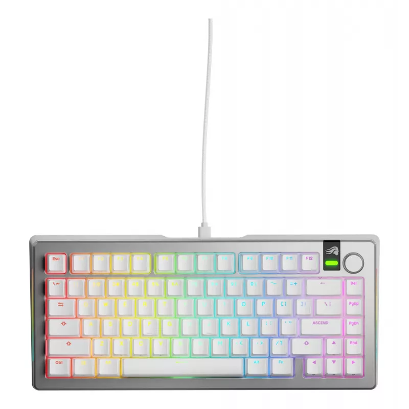 Glorious GMMK 3 Pro 75% tastiera gaming custom, pre-built, cablata, switch Fox, ANSI (US), argento