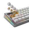 Glorious Gaming Glorious Panda HE Switches - 36 pezzi, interruttori per tastiera, policarbonato (PC), traslucido, giallo