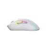 Mouse Glorious Gaming Glorious Model D 2 Wireless - bianco opaco, per destrorsi, RF Wireless, 19000 DPI, bianco