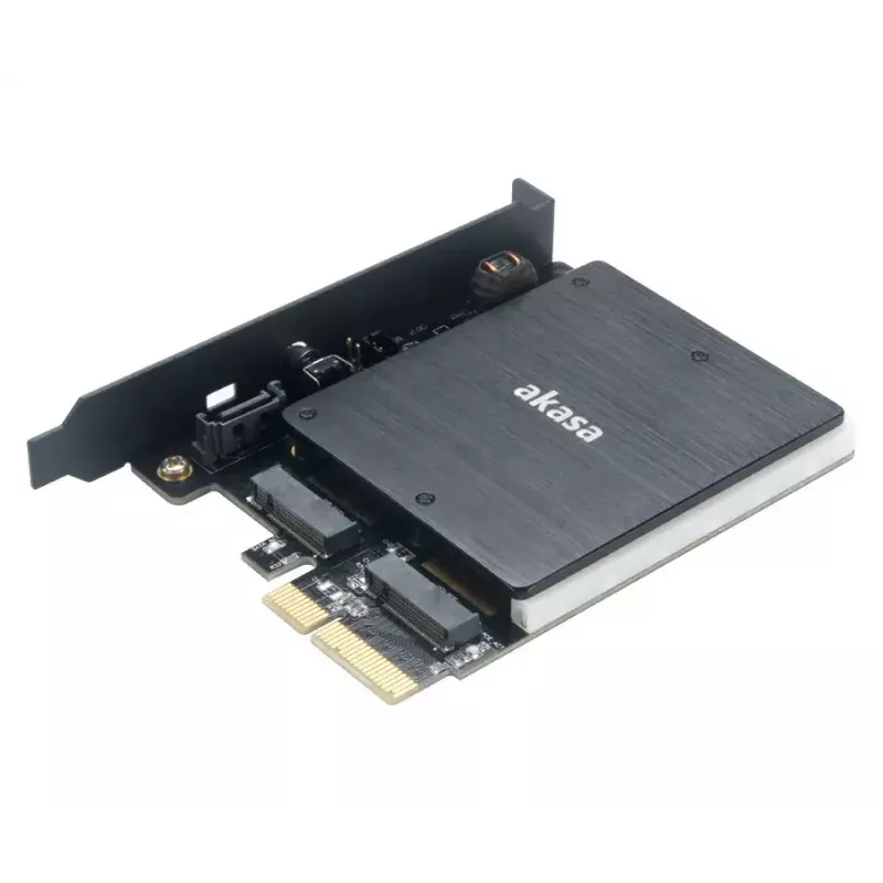 Scheda di interfaccia Akasa AK-PCCM2P-03