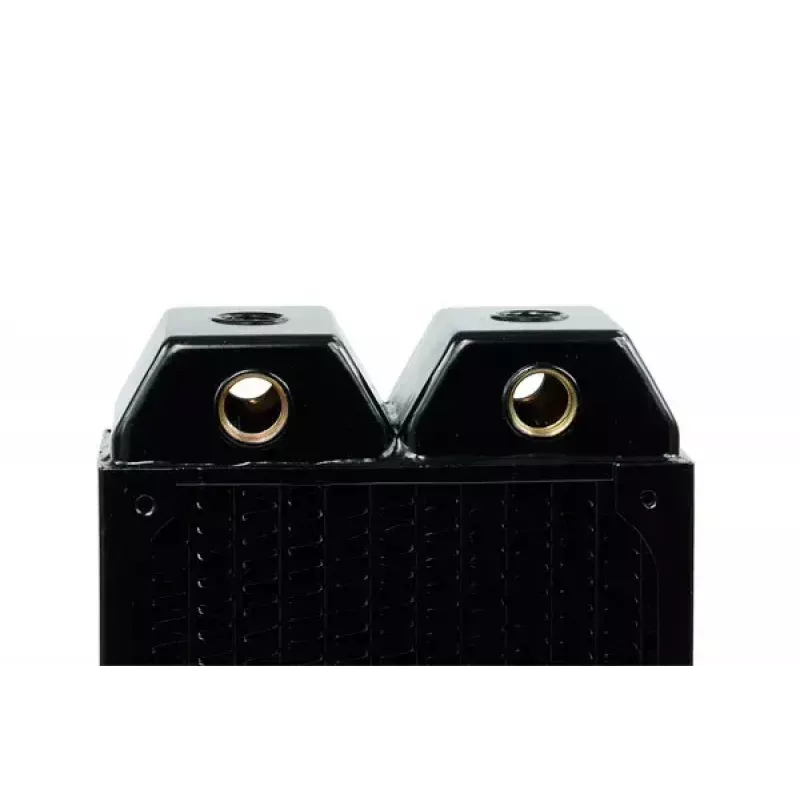 Radiatore Alphacool 14173