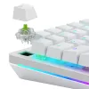 Interruttori meccanici Glorious Gaming Glorious Raptor Clicky – 36 pezzi