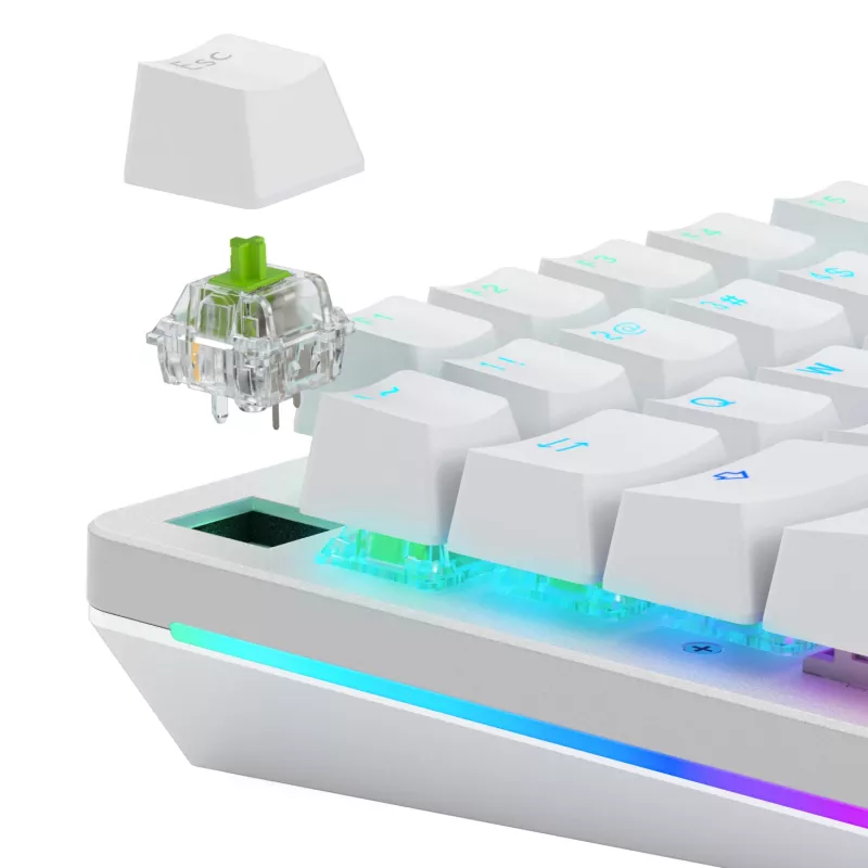 Interruttori meccanici Glorious Gaming Glorious Raptor Clicky – 36 pezzi