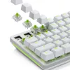 Interruttori meccanici Glorious Gaming Glorious Raptor Clicky – 36 pezzi