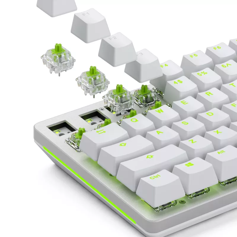 Interruttori meccanici Glorious Gaming Glorious Raptor Clicky – 36 pezzi