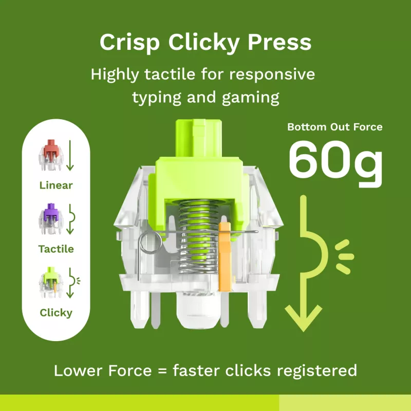 Interruttori meccanici Glorious Gaming Glorious Raptor Clicky – 36 pezzi