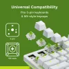 Interruttori meccanici Glorious Gaming Glorious Raptor Clicky – 36 pezzi