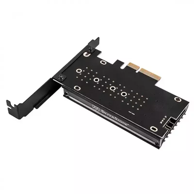 Adattatore M.2 interno Silverstone SST-ECM24-ARGB
