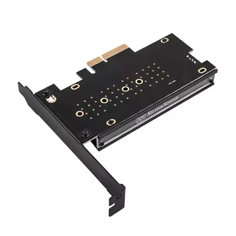 Adattatore M.2 interno Silverstone SST-ECM24-ARGB