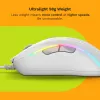 Glorious Gaming Glorious Model D 2 Wired - bianco opaco, per destrorsi, ottico, USB Type-A, 26000 DPI, bianco