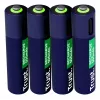 Trust 25671 batteria domestica batteria ricaricabile AAA