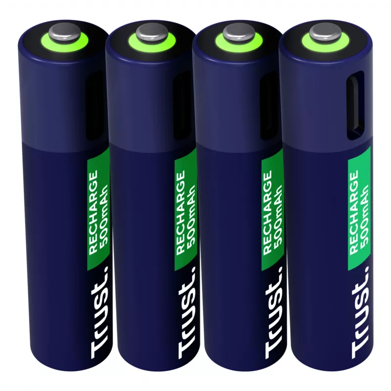 Trust 25671 batteria domestica batteria ricaricabile AAA