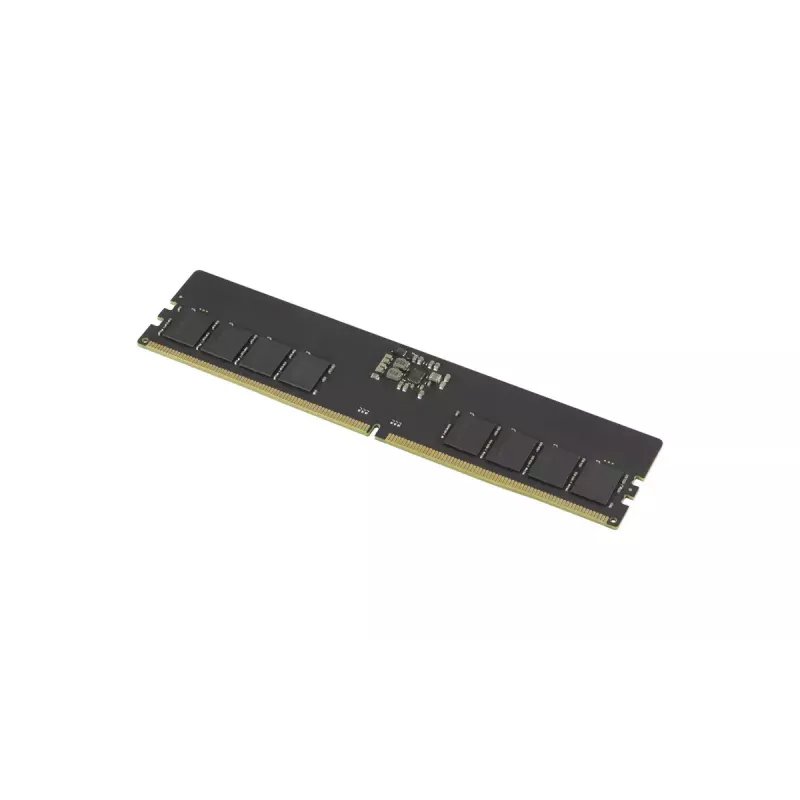 GOODRAM modulo di memoria DIMM DDR5-5600 CL46 da 16 GB (GR5600D564L46S/16G)