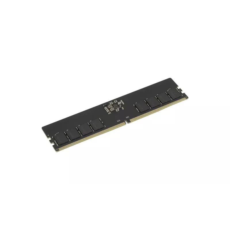 GOODRAM modulo di memoria DIMM DDR5-5600 CL46 da 16 GB (GR5600D564L46S/16G)
