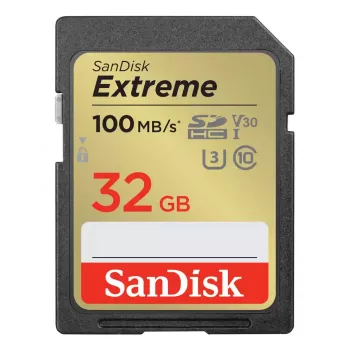 Scheda di memoria SanDisk Extreme SDXC 512GB UHS-I U3 V30 (SDSDXVV-512G-GNCIN)