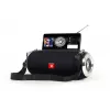 GEMBIRD diffusore BT portatile con radio FM e antenna - nero