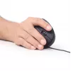 GEMBIRD mouse ottico MUS-ERGO-01 - ergonomico, 6 tasti, rotella, USB, nero
