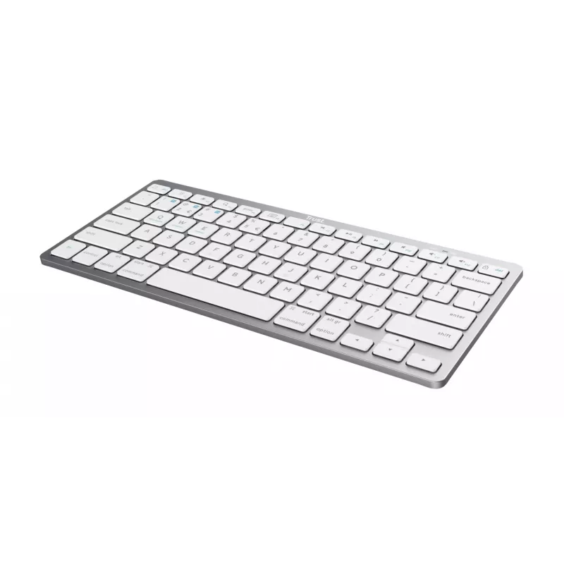 Trust 24651 tastiera wireless QWERTY US English, argento