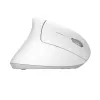 Trust Verto Mouse ufficio per destrorsi RF wireless ottico 1600 DPI