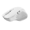 Trust Ozaa+ mouse, ufficio, per destrorsi, RF wireless + Bluetooth 24935