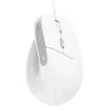 Trust Bayo II mouse da ufficio per destrorsi USB Type-A ottico 2400 DPI