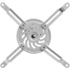 Techly staffa a soffitto per proiettore prolunga 380-580 mm argento ICA-PM 18S