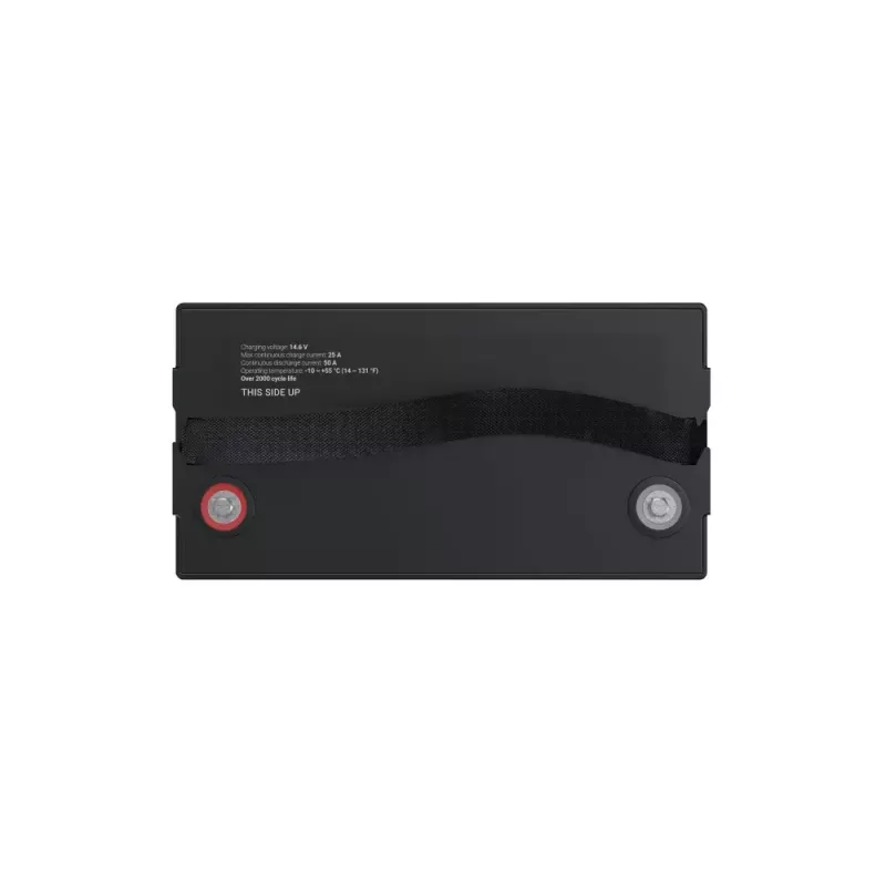 Batteria per UPS Green Cell LFPGC12V100AH litio-ferro-fosfato 12,8V 100Ah