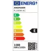 Ansmann FL100W-AC faro da lavoro con cavo 100 W