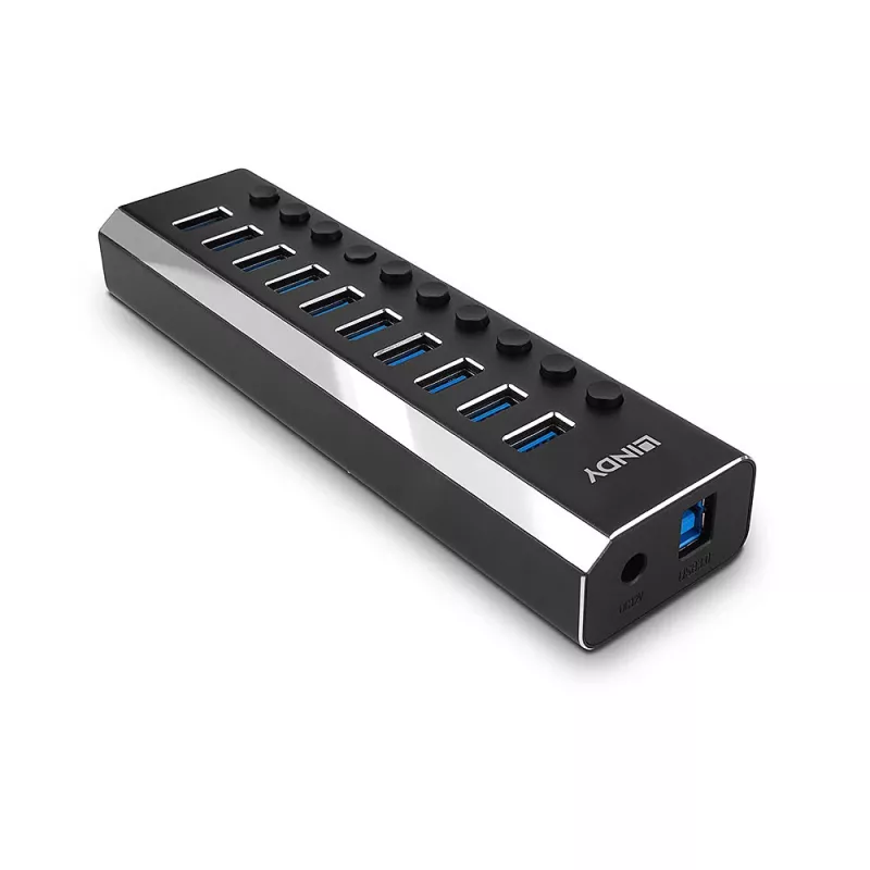 Hub USB 3.0 Lindy 10 porte con interruttori on/off