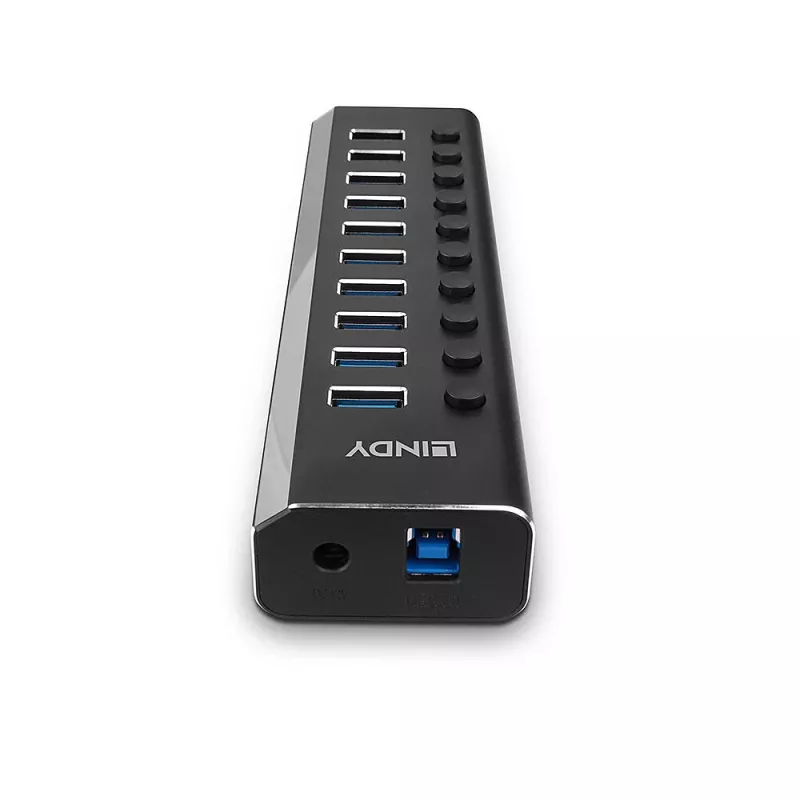 Hub USB 3.0 Lindy 10 porte con interruttori on/off