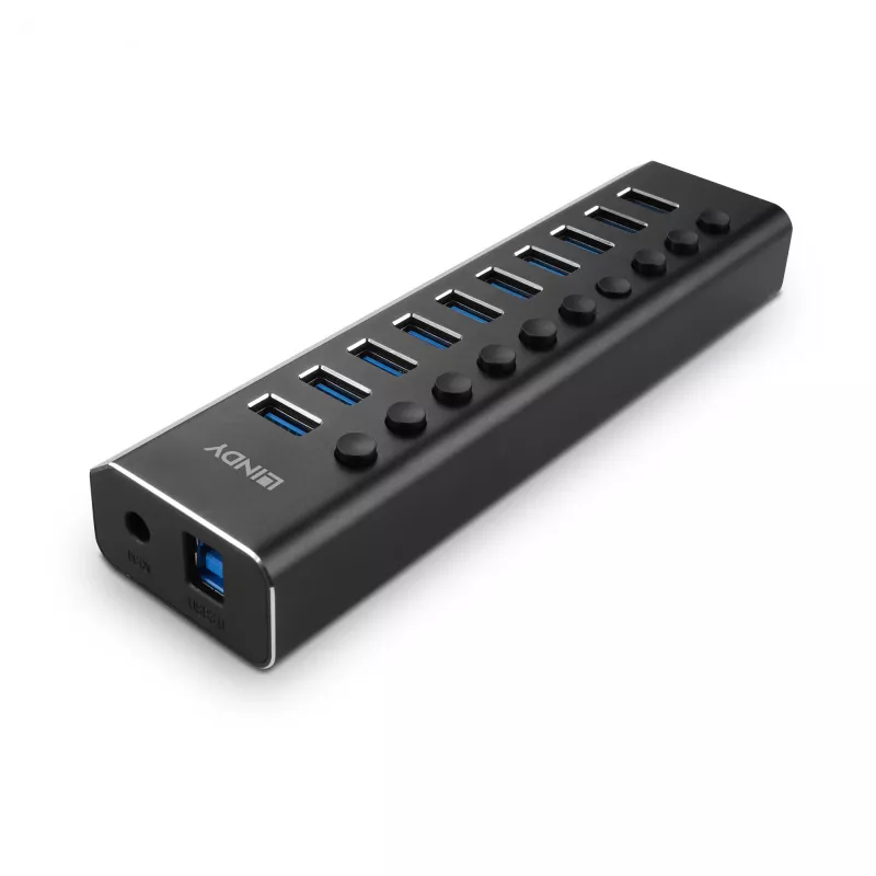 Hub USB 3.0 Lindy 10 porte con interruttori on/off