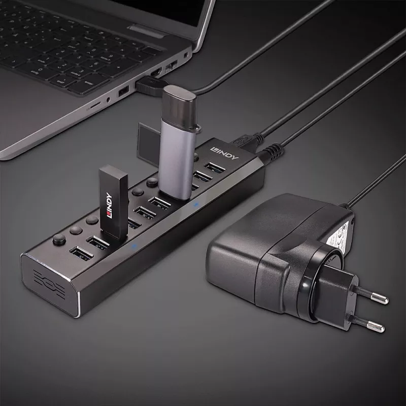 Hub USB 3.0 Lindy 10 porte con interruttori on/off