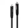 Cavo ibrido USB 3.2 Gen 1 e DP 1.4 Type-C Lindy 10m, 10 m, USB C, USB C, USB 3.2 Gen 1 (3.1 Gen 1), nero